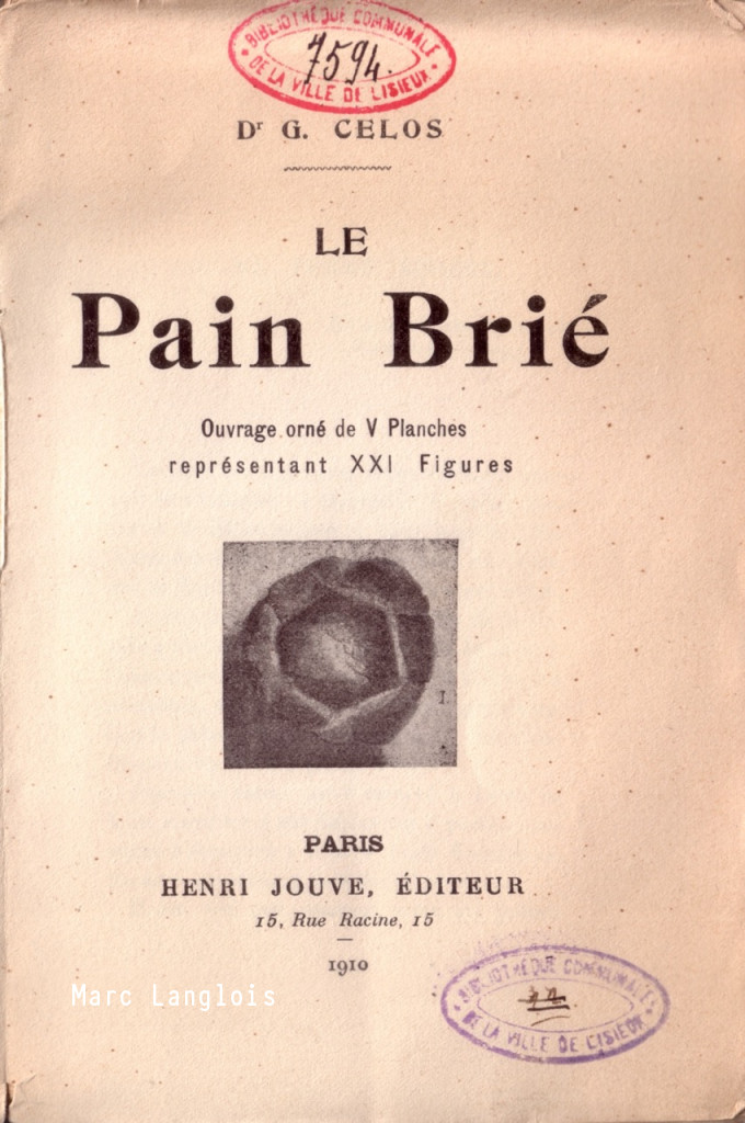 202209081754Livre_Pain_brié Grande.jpeg